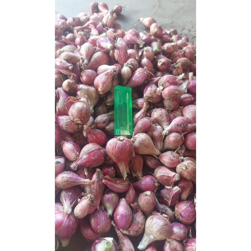 

Bawang Merah Hasil Bumi Asli Brebes Gread A Super