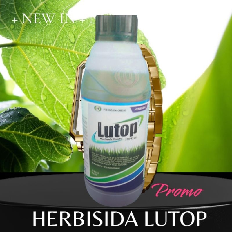 herbisida/herbisida gulma/herbisida rumput liar/obat rumput/obat gulma/racun rumput/racun gulma/luto