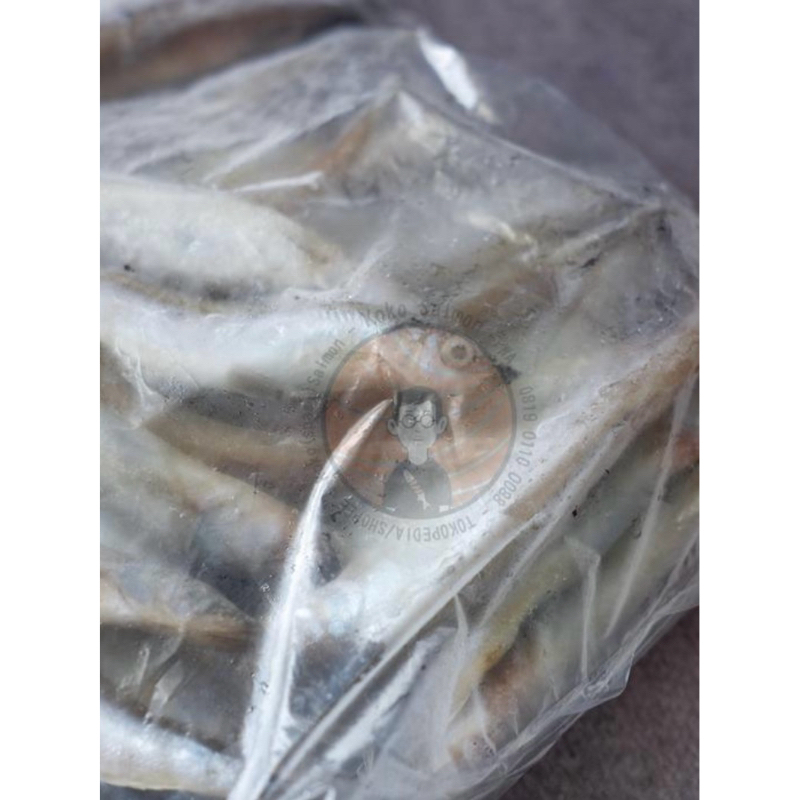 

Shisamo - Japanese Capelin 500gr