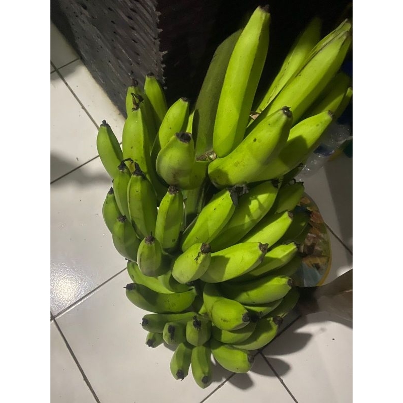 

Buah Pisang Mentah PPR ES W Pisang Bangkaulu