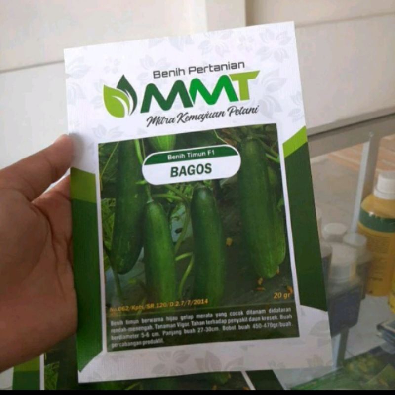 BENIH TIMUN F1BAGOS LALAP MMT SEED//BENIH TIMUN BAGOS F1 ORIGINAL 20GR