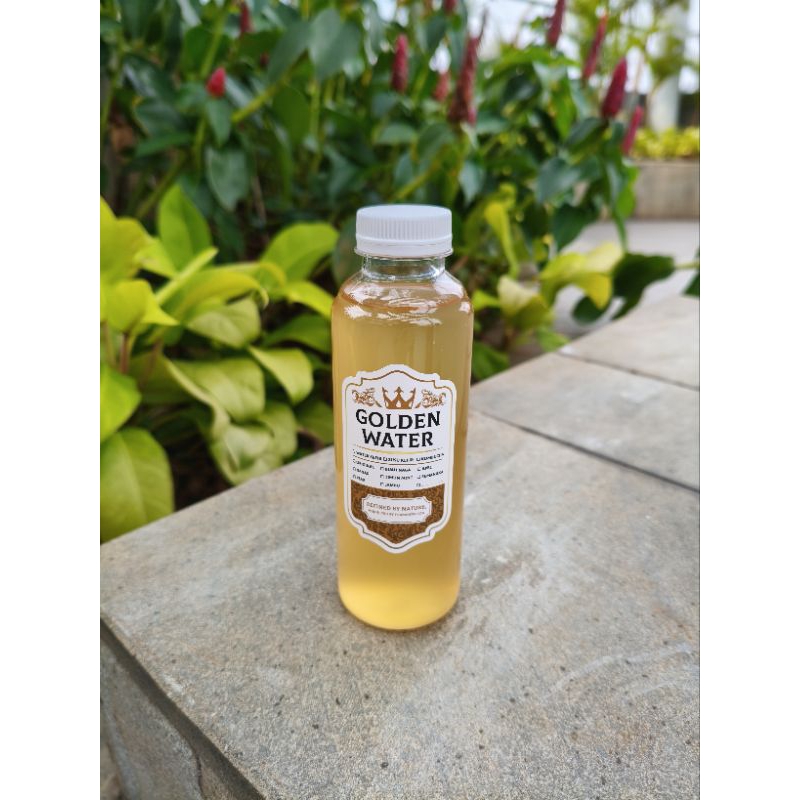 

KOMBUCHA PREBIOTICS DRINK - rasa ORGINAL
