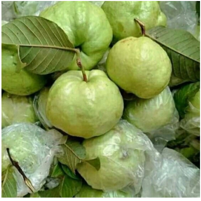 

Jambu non biji /jambu kristal per 1kg