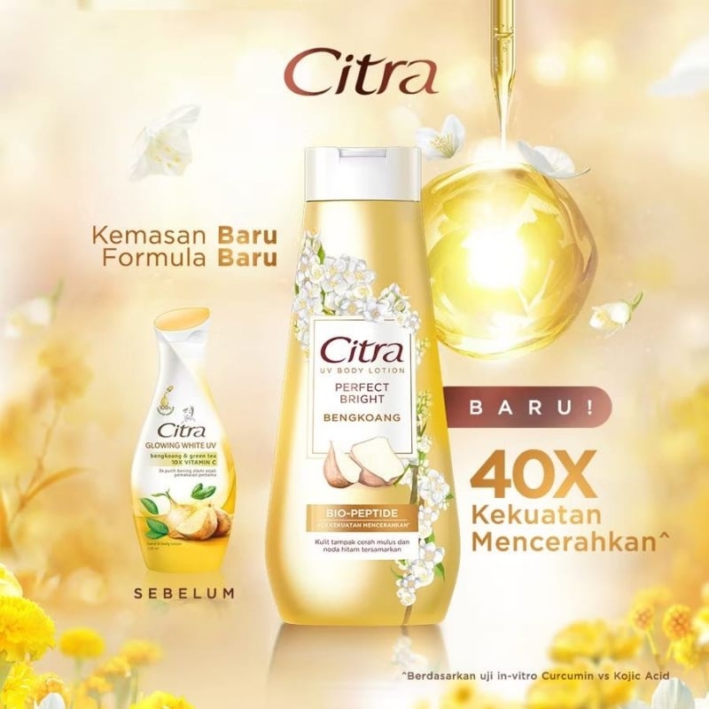 citra perfect bright bengkoang / handbody citra bengkoang / mencerahkan