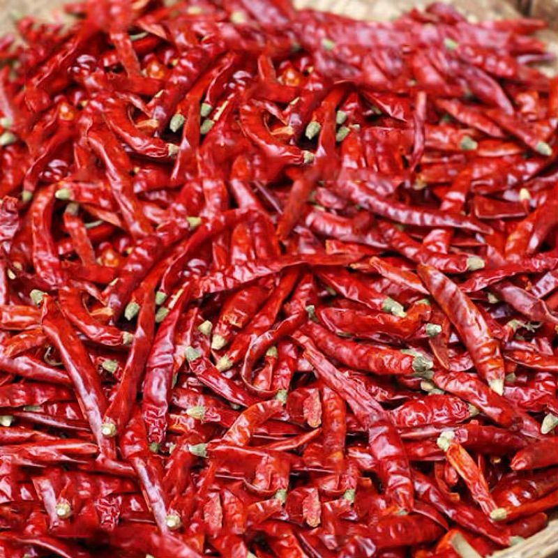 

Cabai Kering / Cabe Kering Caplak / Cabe Kering Caplak Sanying