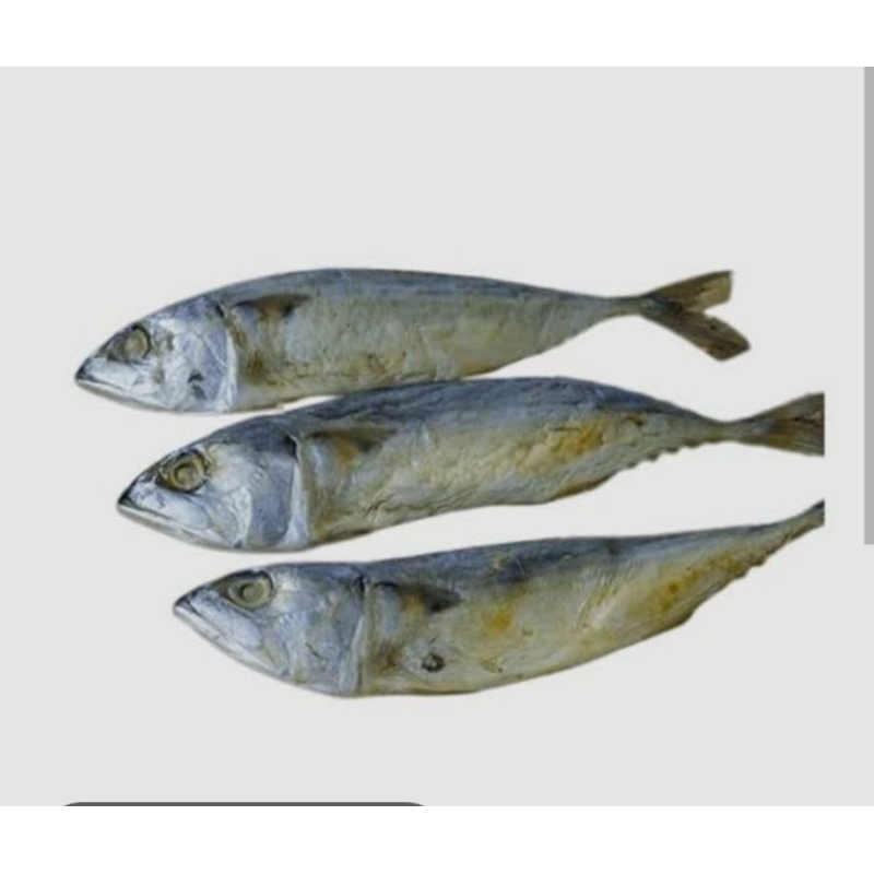

ikan asin japu
