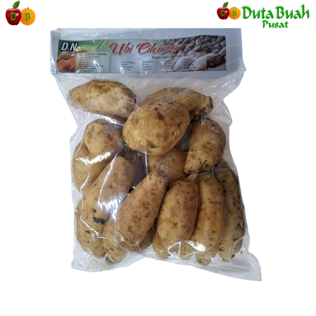 

Duta Buah Ubi Cilembu DN (1KG/PACK)
