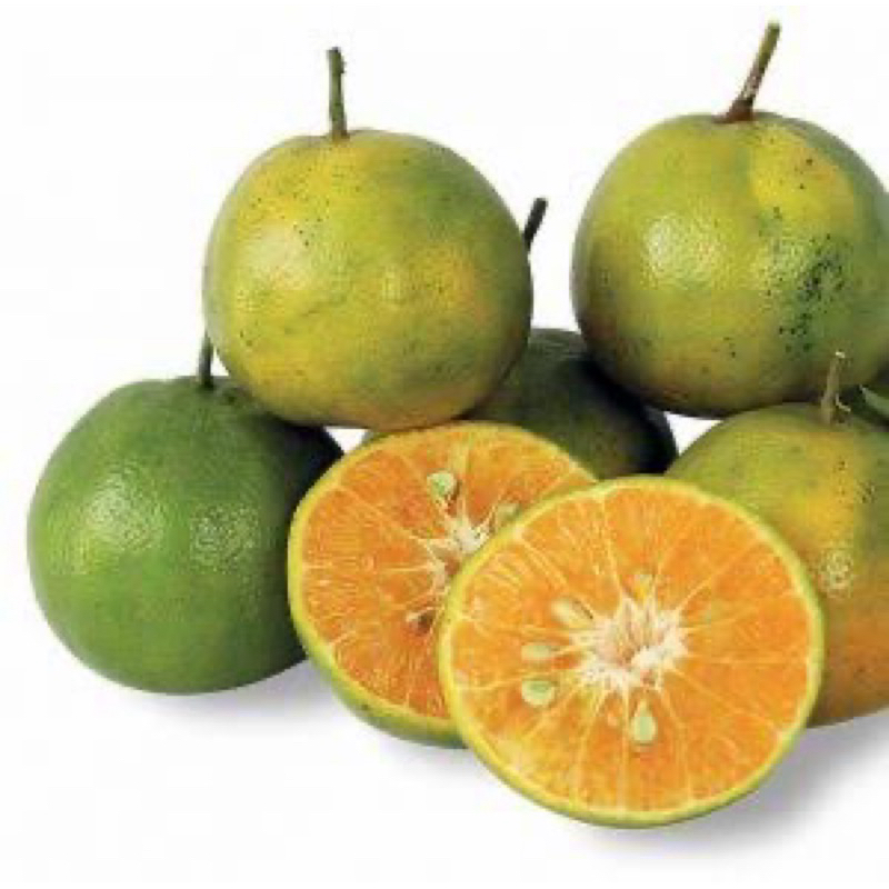 

Jeruk Siem Jember / Buah Lokal / Grosir buah Murah Jogja / Panen Buah / Buah Berkualitas