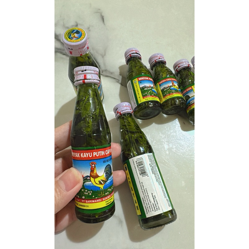 MINYAK KAYU PUTIH RENDAMAN CHAO CHAO / DAUN INGGU 40 ML