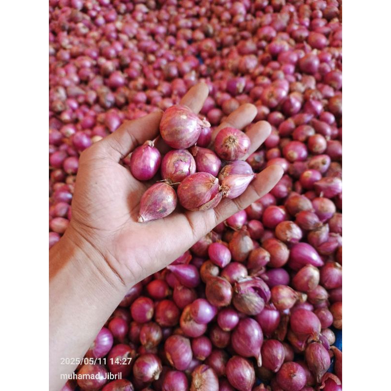 

BAWANG MERAH BIMA SUPER Kemasan 500g