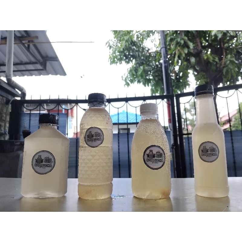 

Kombucha segar murah Promo