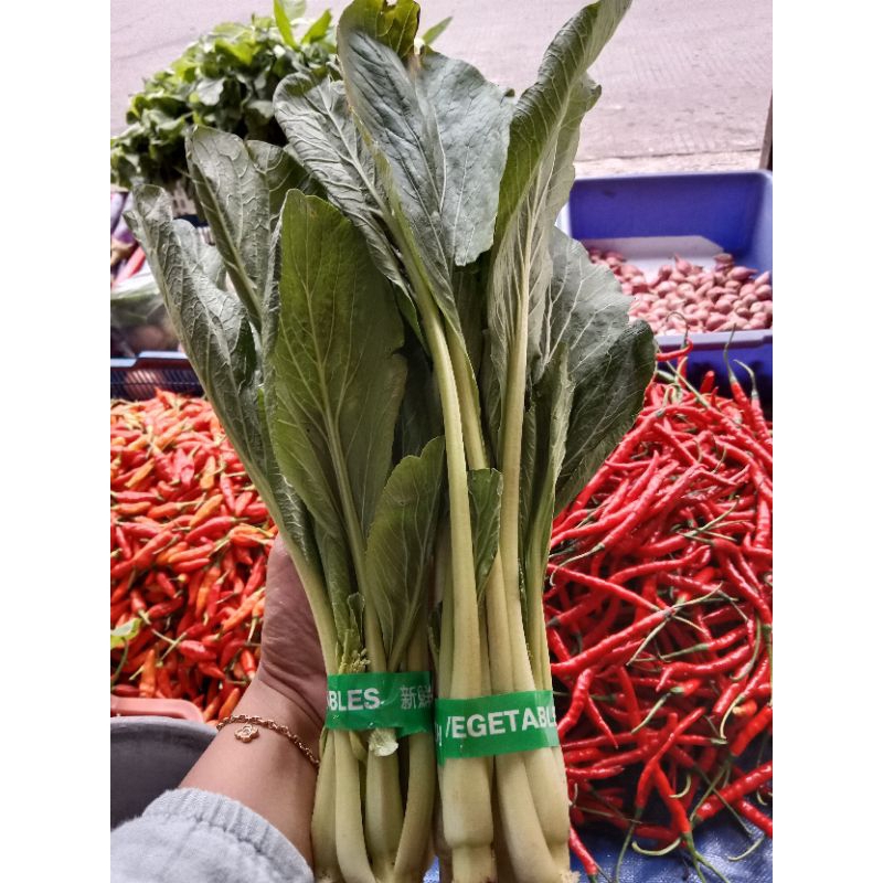 

Sawi Ijo Sawi Ijo