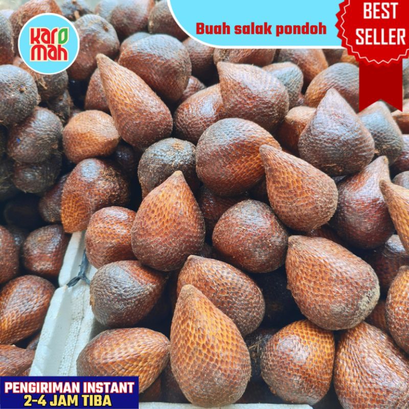 

BEST SELLER BUAH SALAH PONDOH 1 KG MANIS FRESH BUAH SEGAR SALAK PONDOK / PONDOH 1 KG