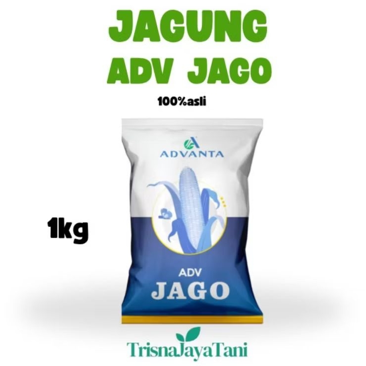 Benih bibit jagung ADV JAGO PAC789 kemasan 1kg