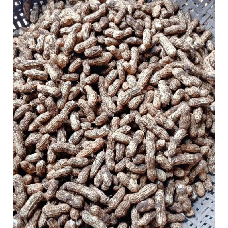 

kacang tanah mentah 1kg