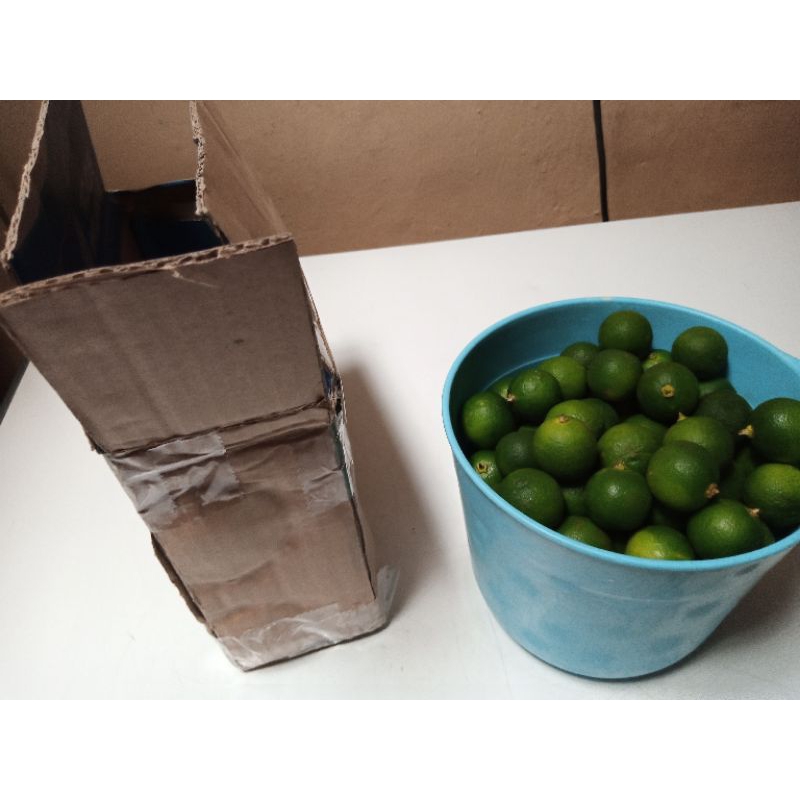

Jeruk Kunci Per 1 kg