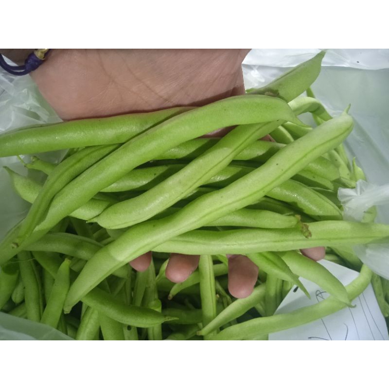 

Buncis /Ucet Lokal 1 kg