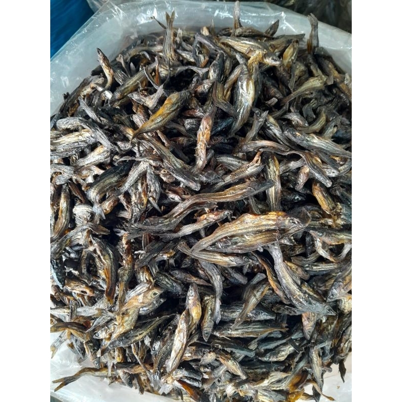 

ikan salai sembilang