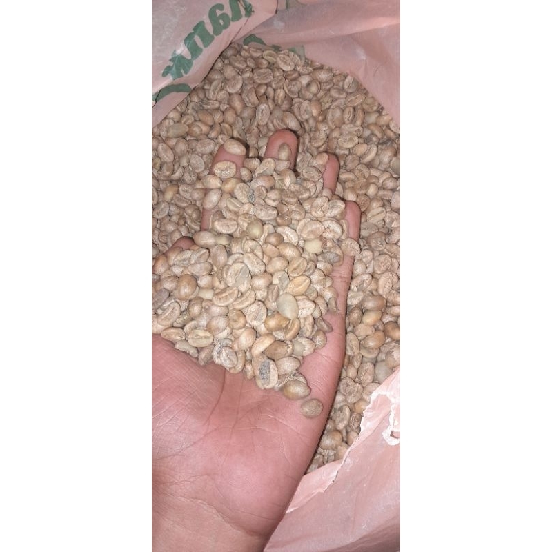 

robusta