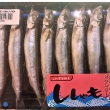 

IKAN SHISAMO FEMALE PACK