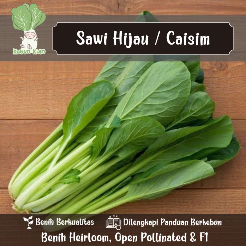 

100 Biji - Benih Sawi Hijau Caisim