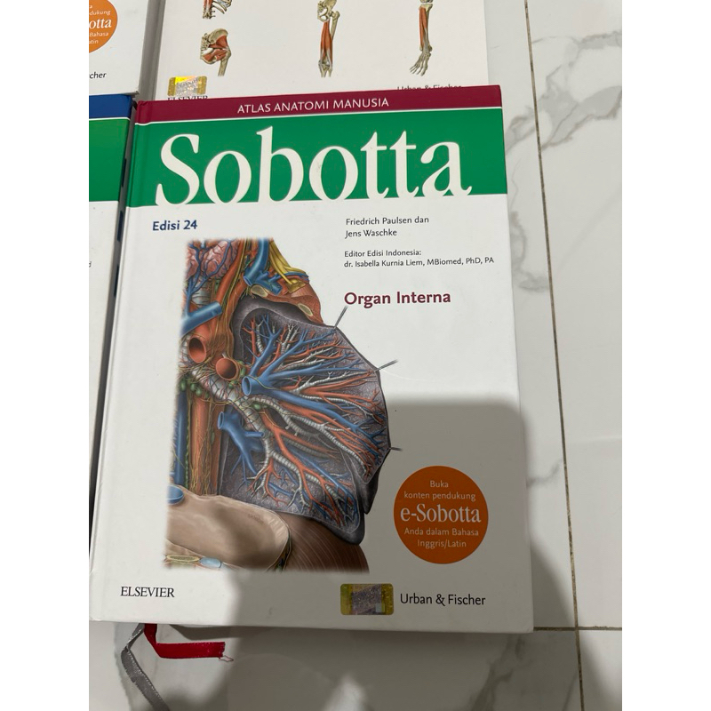 buku Atlas Sobotta Edisi 24