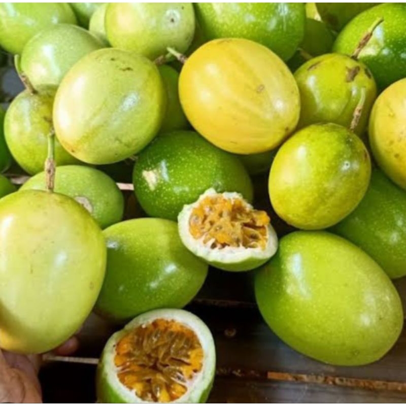 

Jual buah markisa atau konyal segar organik 250 g