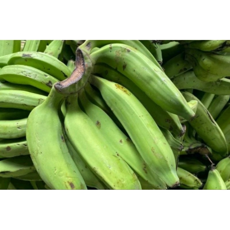

BUSH PISANG NANGKA SEGAR MENTAH 1KG