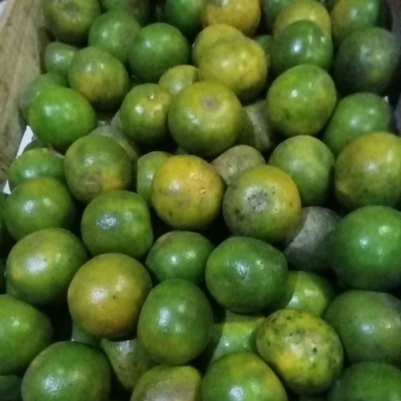 

jeruk Jember manis sehat dan bervitamin 1kg isi 9 10