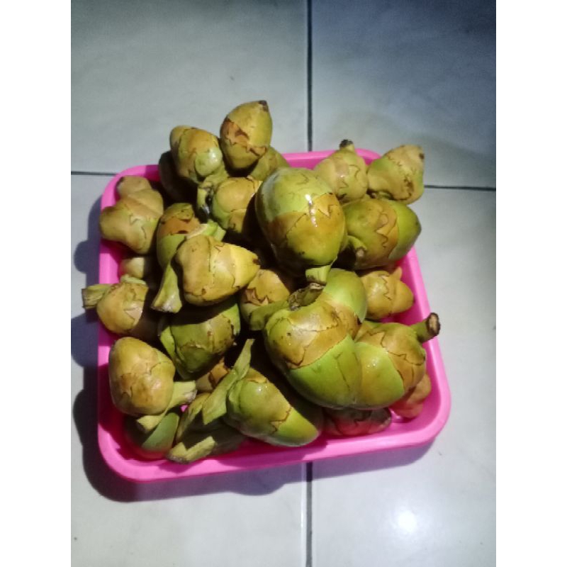 

Beluluk Kelapa - Tembuluk Kelapa Kecil segar 10pcs kelapa merah