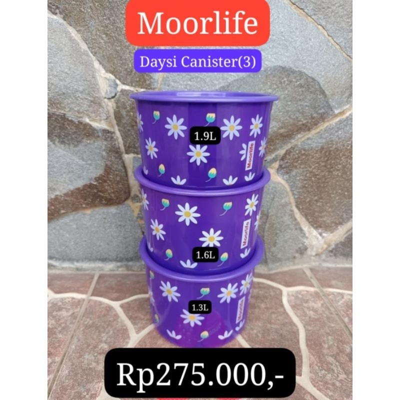 Daisy canister moorlife