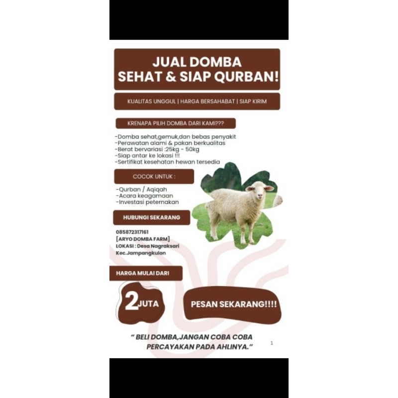 

Domba Qurban/Aqiqah