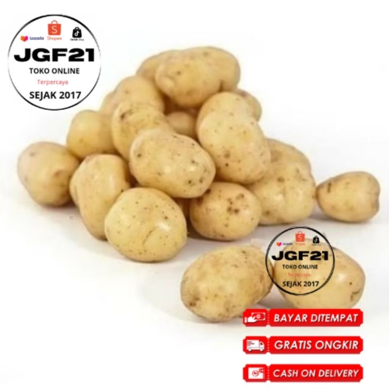 

COD Terlaris Original Kentang Dieng Super Segar Sedang 500Gr- Kentang Bahan dapur sayuran serba jadi makanan sayuran