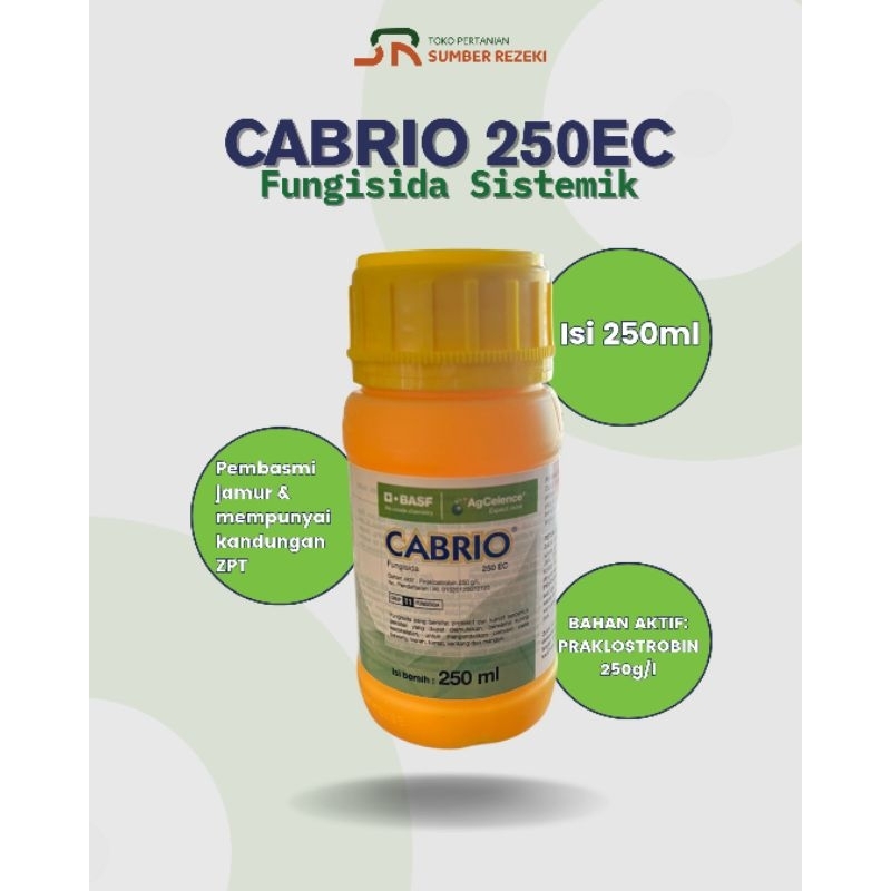 FUNGISIDA CABRIO 250EC 250ml