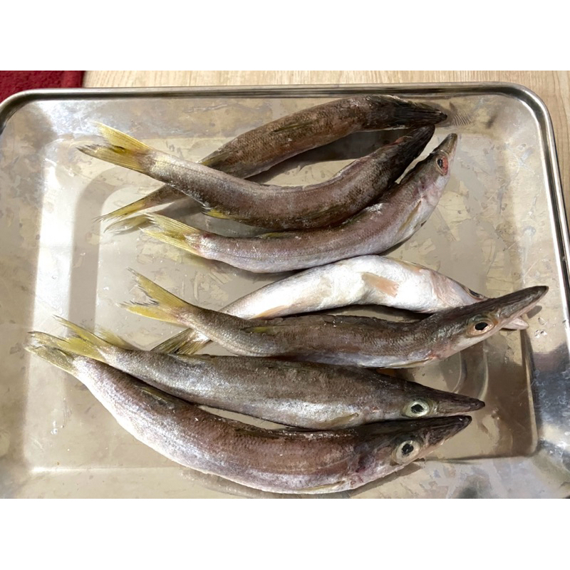 

Ikan Barakuda 500 gram
