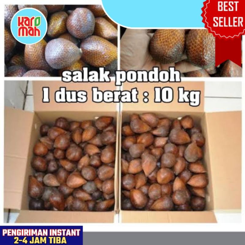 

READY STOK!! SALAK PONDOH 1 DUS : 10 KG MANIS FRESH / BUAH SALAK PONDOH ASLI