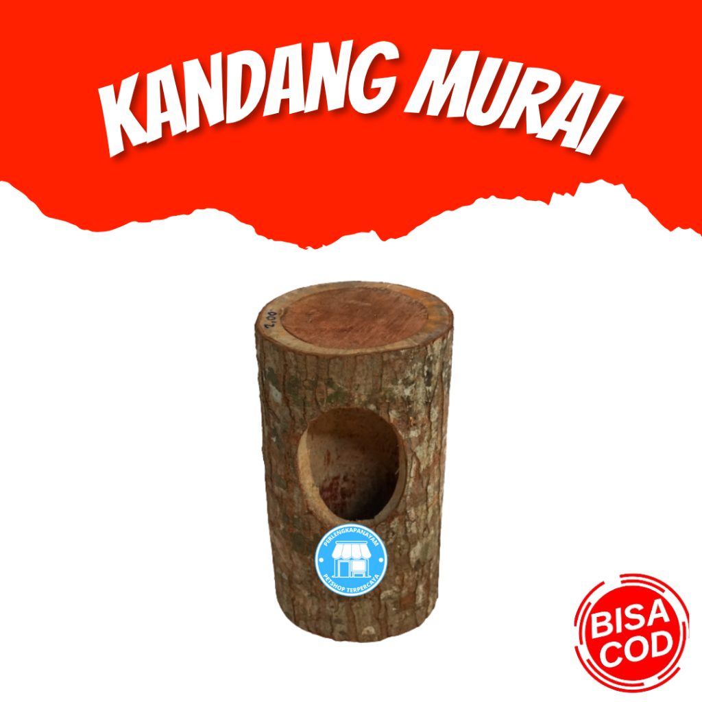 KANDANG TERNAK MURAI Kandang Burung Murai Gelodog Burung