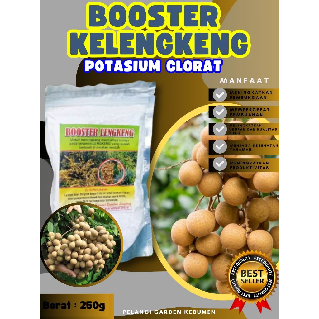 BEST SELLER  Boster Kelengkeng Berbuah, Boster Kelengkeng Berbunga, Boster Kelengkeng Cepat Berbuah2