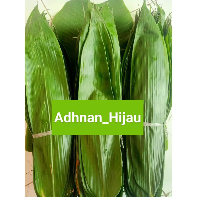 

DAUN BAMBU BUNGKUS BAKCANG 8-10 cm
