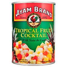 

AYAM BRAND FRUIT COCKTAIL 565 GRAM