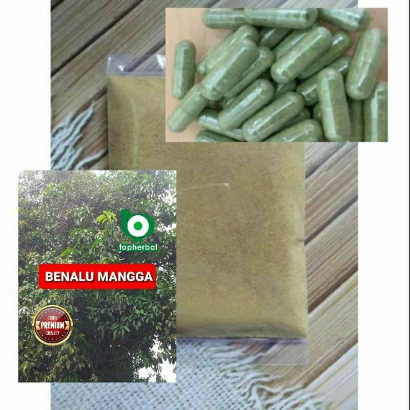 

Kapsul Benalu Mangga isi 100 Kapsul (Kering Hijau Organik Super Premium)