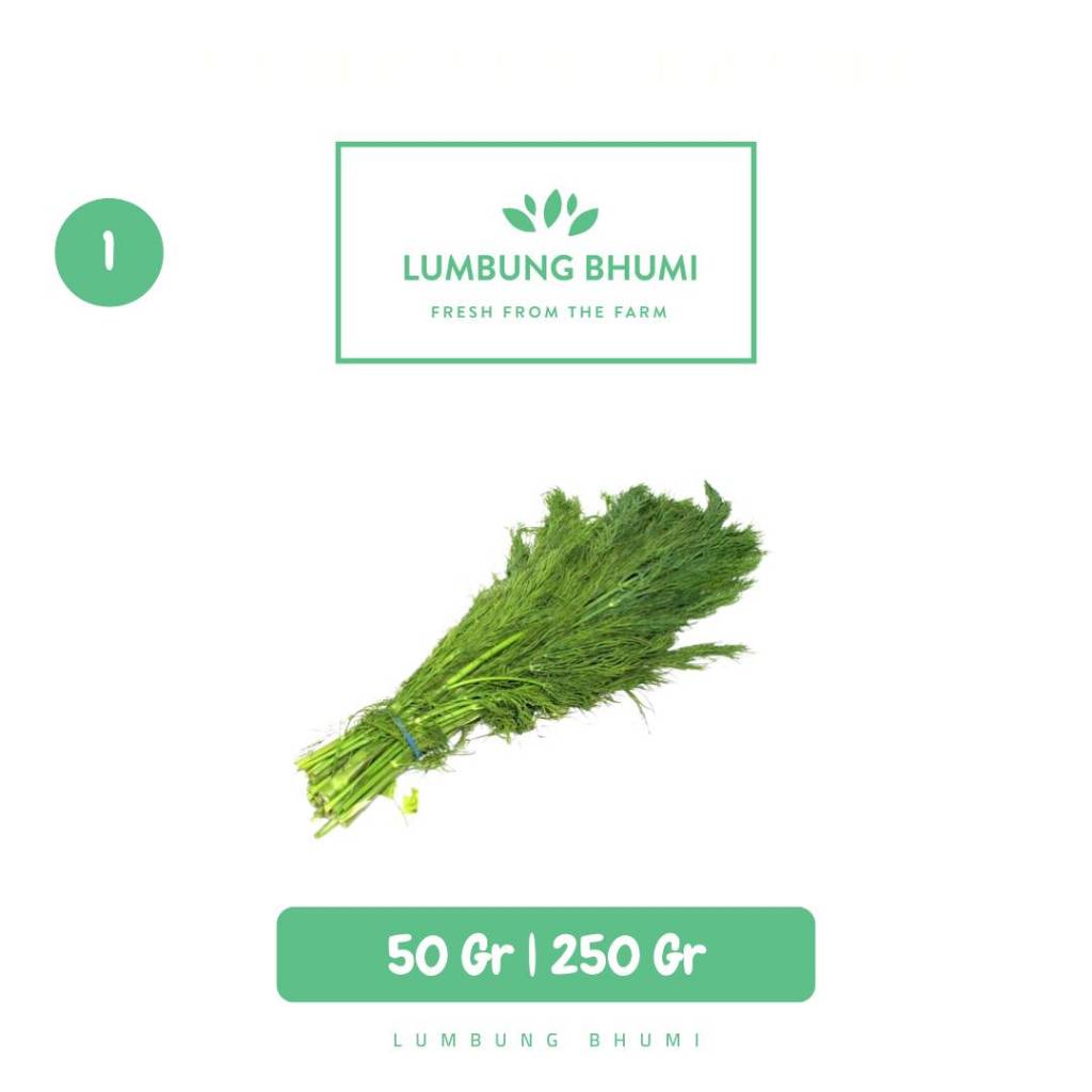 

RB Daun Dill Adas Sayur - Lumbung Bhumi