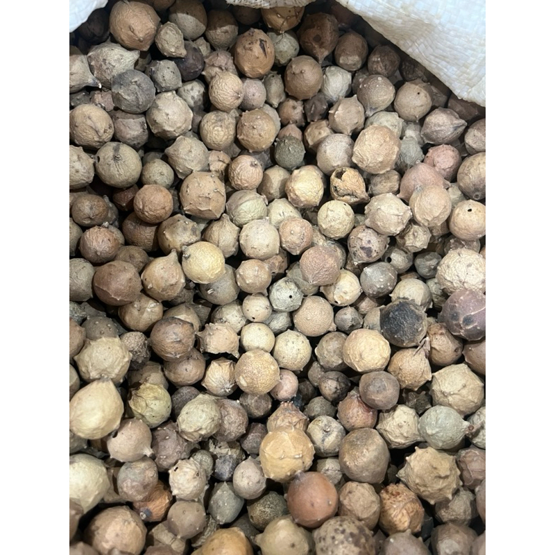 

Majaan / Manjakani kemasan 1Kg
