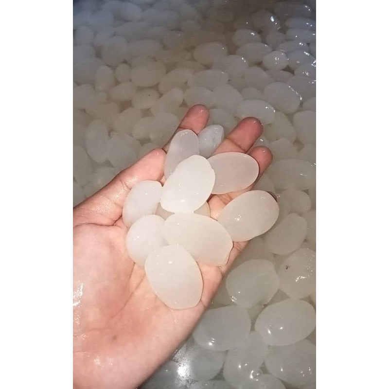 

termurah buah kolang Kaling muda segar empuk alami kolang-kaling tidak asam
