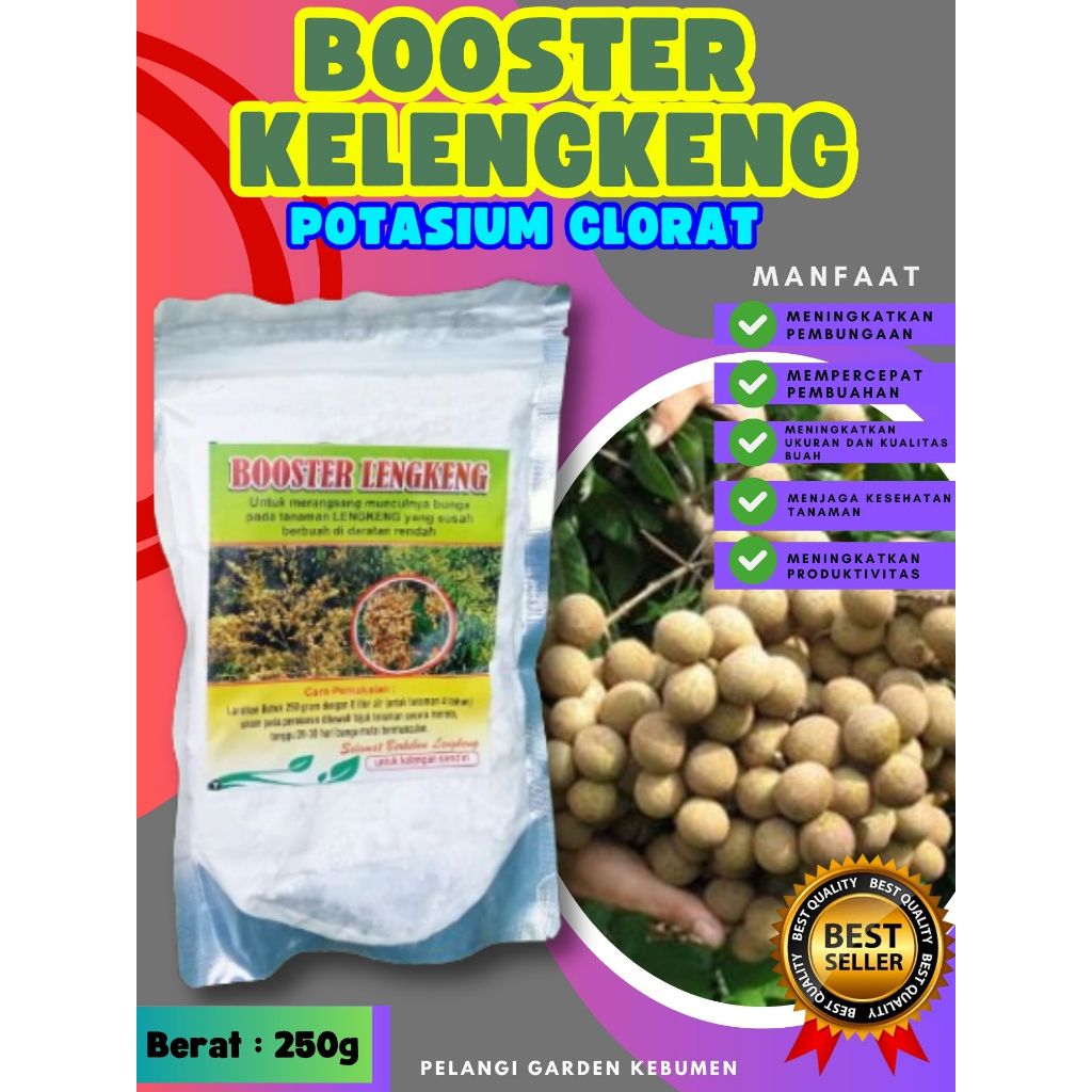 DIJAMIN ASLI  Booster Kelengkeng Berbuah, Booster Kelengkeng Berbunga, Booster Kelengkeng Cepat Berb