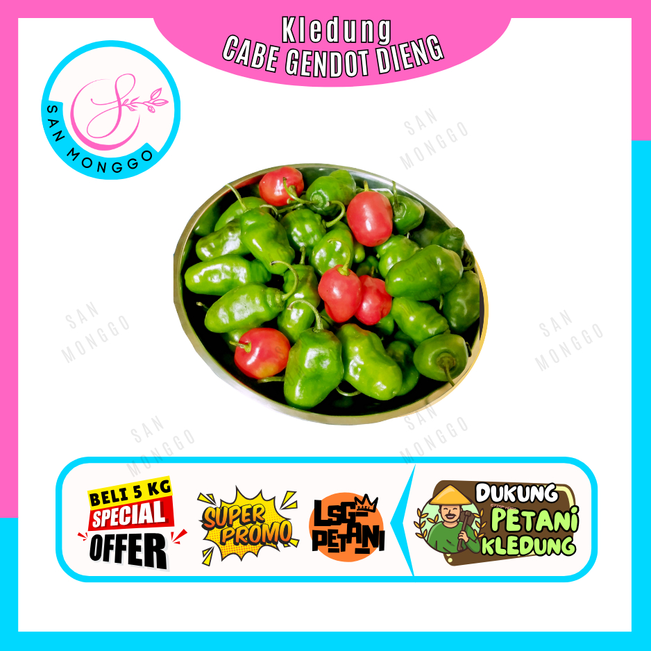 

Sanmonggoo >> Cabe Gendot -- Sayur Gunung (GROSIR)