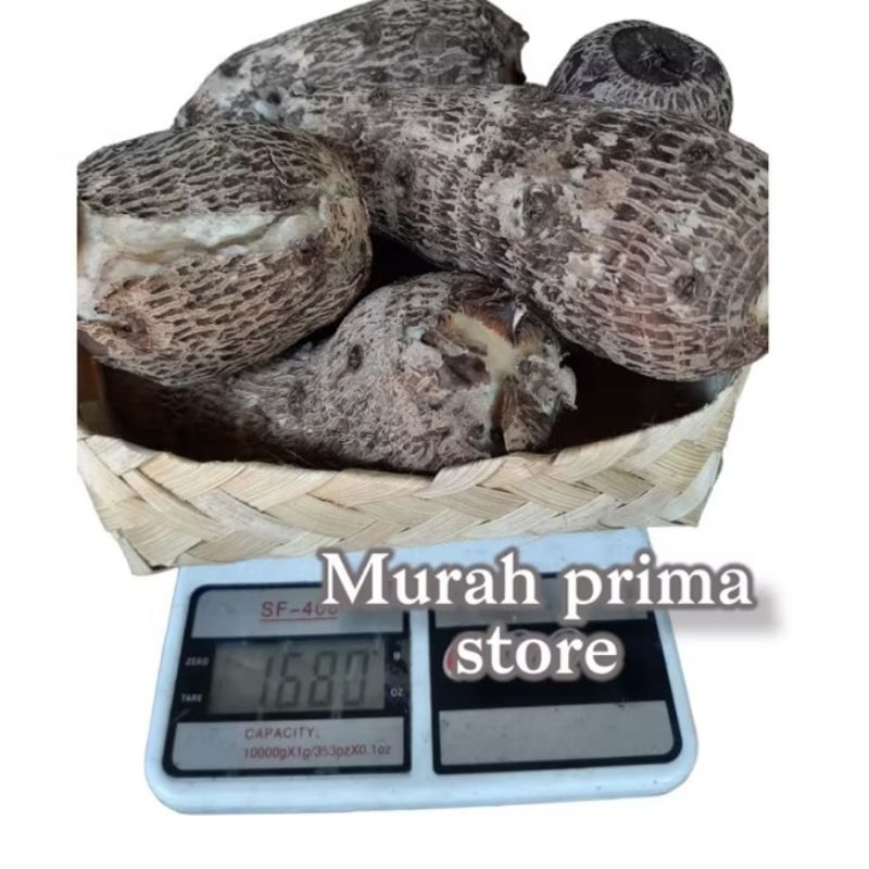 

Talas Rebus Mateng Talas Muria Pulen 1 Kg