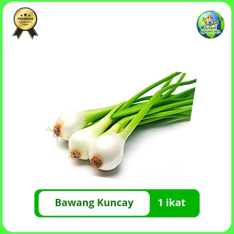 

Bawang Kuncai/kucai [1 ikat] FRESH