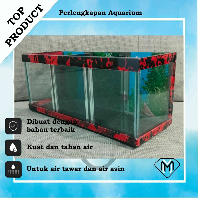 AQUARIUM SEKAT 3 MINI / AQUARIUM CUPANG DAN REPTIL / AQUARIUM MINIMALIS MOTIF