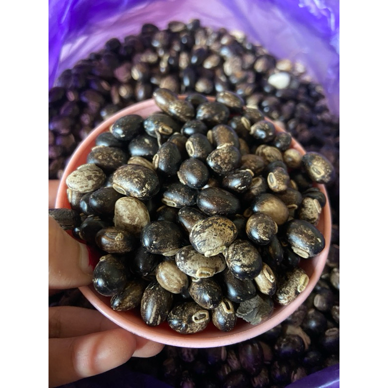 

Koro Benguk / Koro Babi